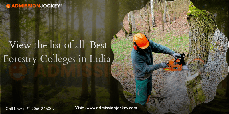 5 Best Forestry Colleges in India