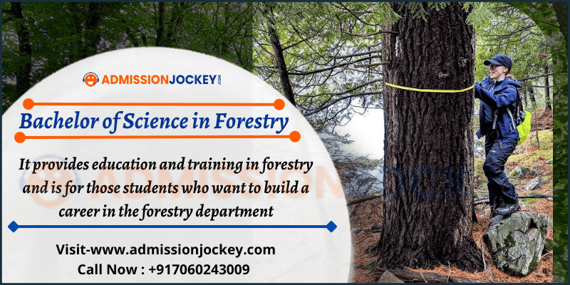 Bachelor of Science in Forestry